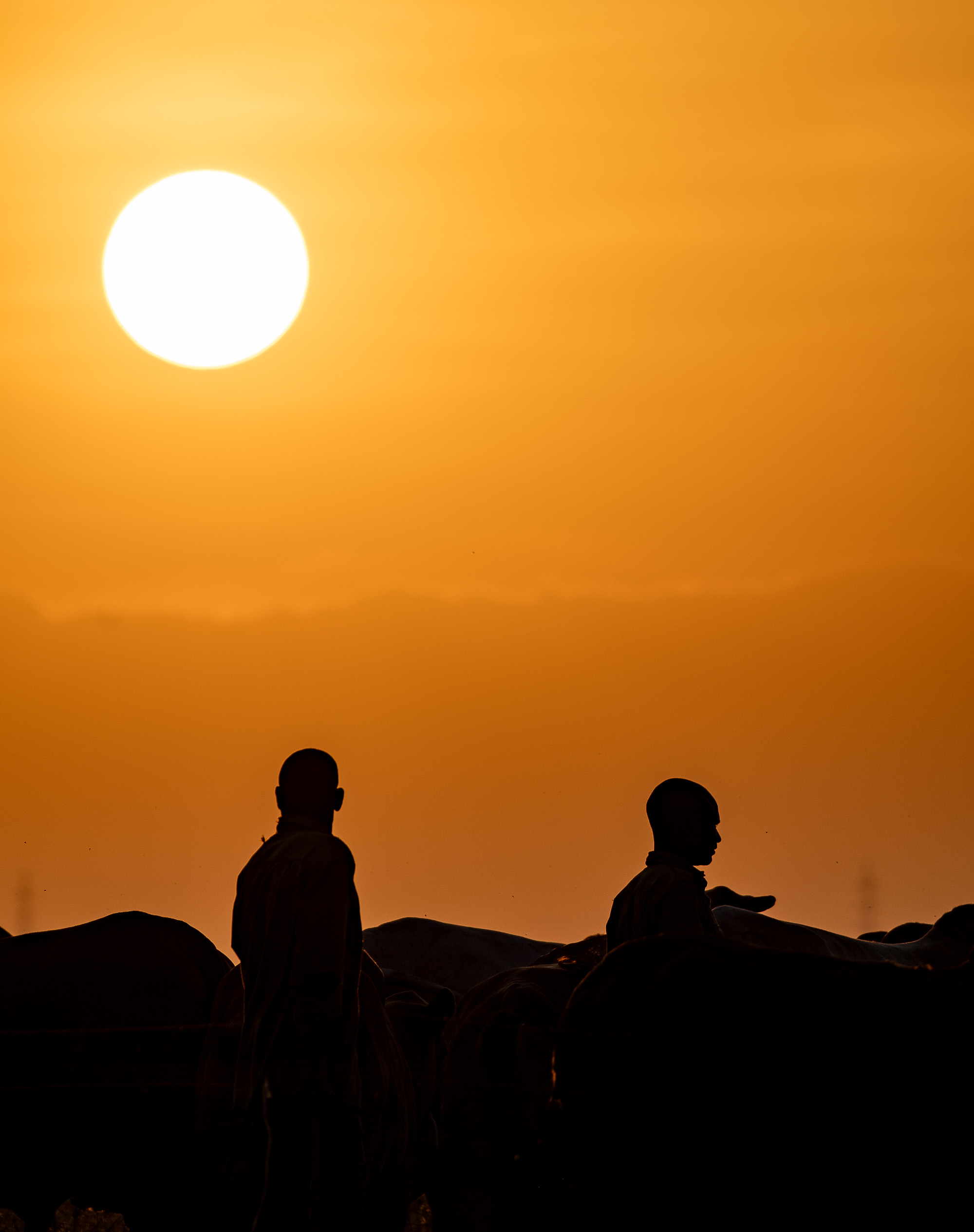 Herdsmen at sunset